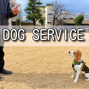 dogservice